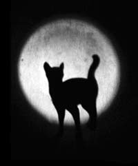 Дискретный обзор: И кот и рок-и ролл, Милый Котя-Коток